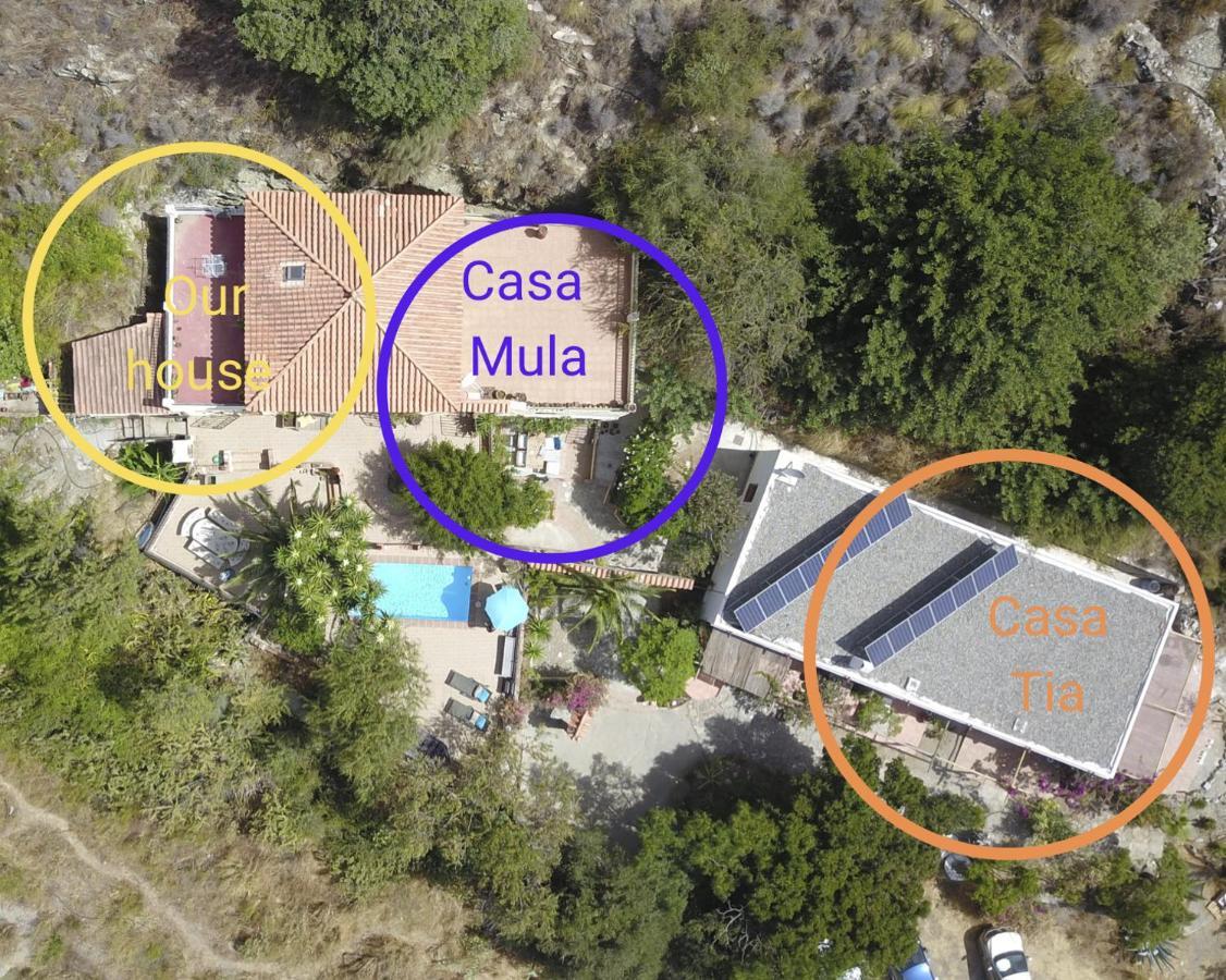 Cortijo Jamaica - Off Grid Paradise - Costa Tropical Los Diaz  Екстер'єр фото